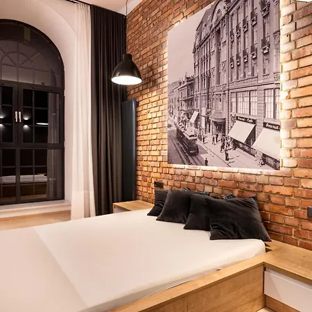 Your Aparts - Lofty Scheiblera *